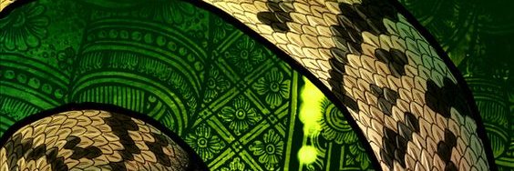 Salazar Soteros banner