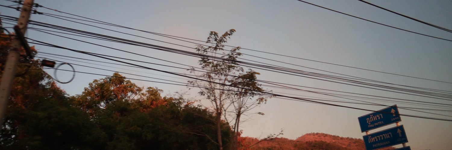 slothay's profile banner image