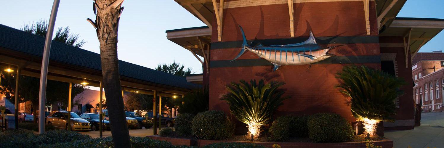 VistaBlueMarlin's profile banner image