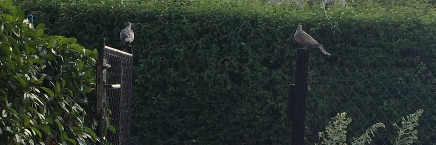comwhit's profile banner image