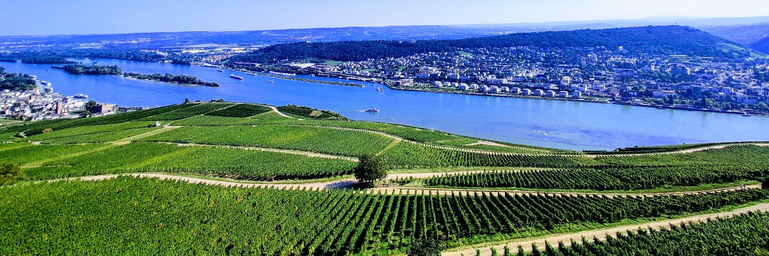 Timothy Kotin banner