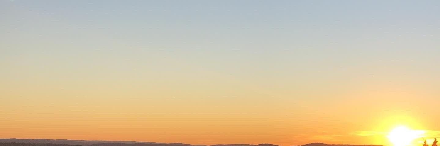 Matt Craig banner