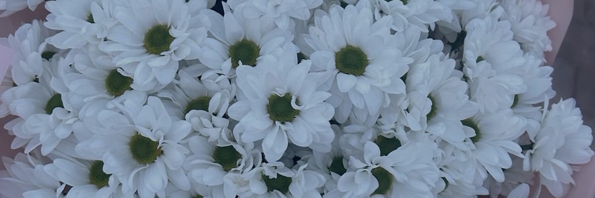 Hoshi_NewLight's profile banner image