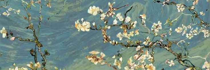 dubaicmina's profile banner image