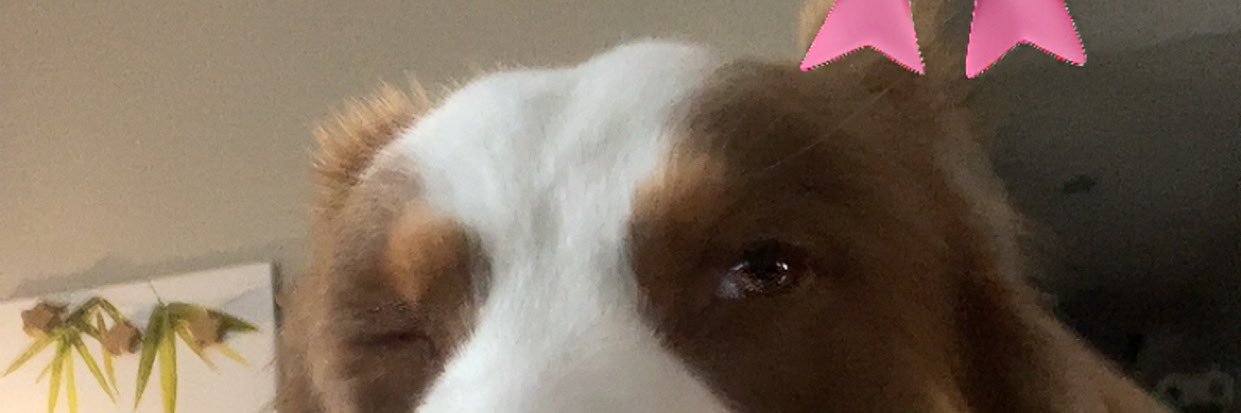 rom1 🧪 banner