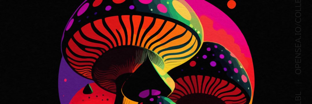 am_lbl's profile banner image