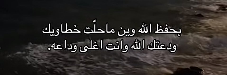 ميمي🦦 banner