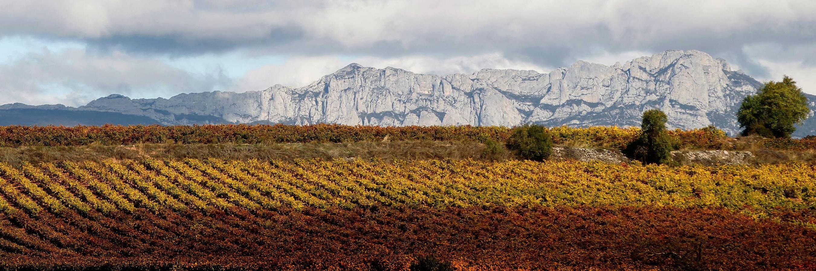 Pablo Álvarez banner