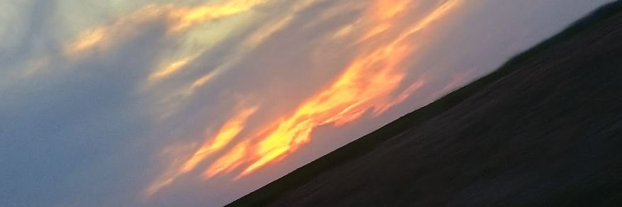 anicolec31's profile banner image