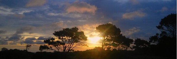 noeliabasile's profile banner image