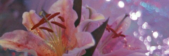 CandelaMH's profile banner image