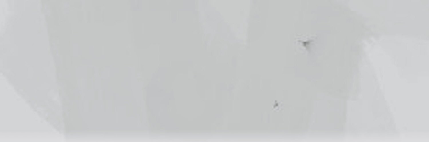 けたたま's banner