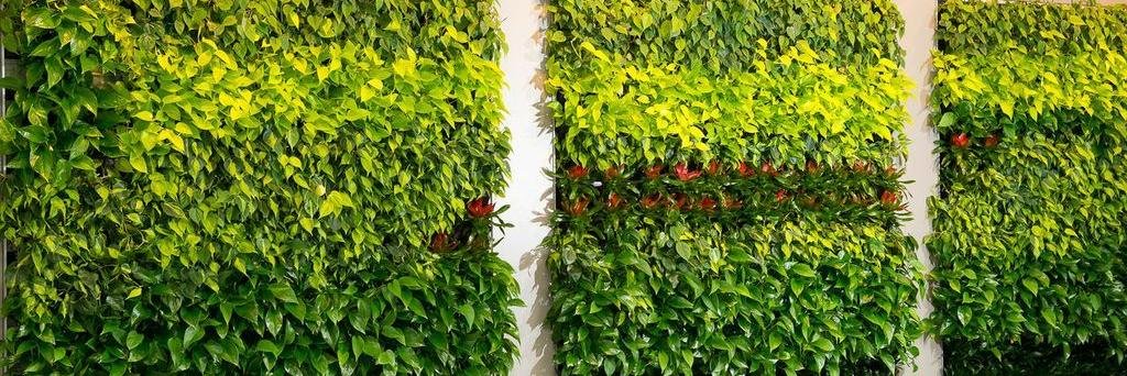 plantscapersoc's profile banner image
