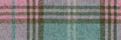 plum banner