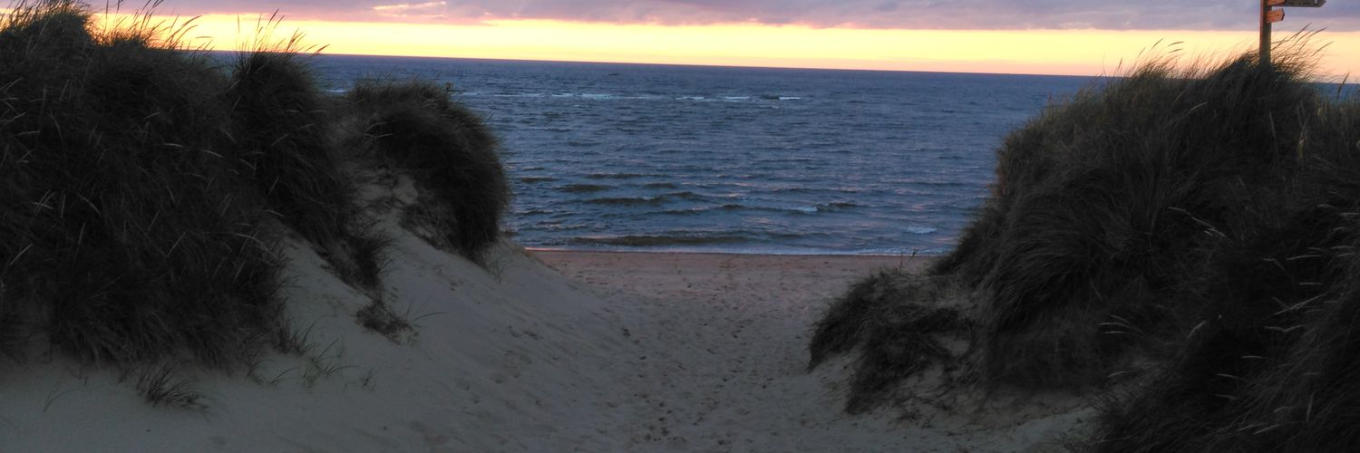 AliStevenson86's profile banner image