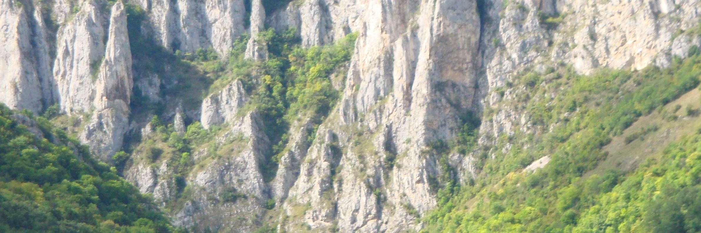 piponov's profile banner image