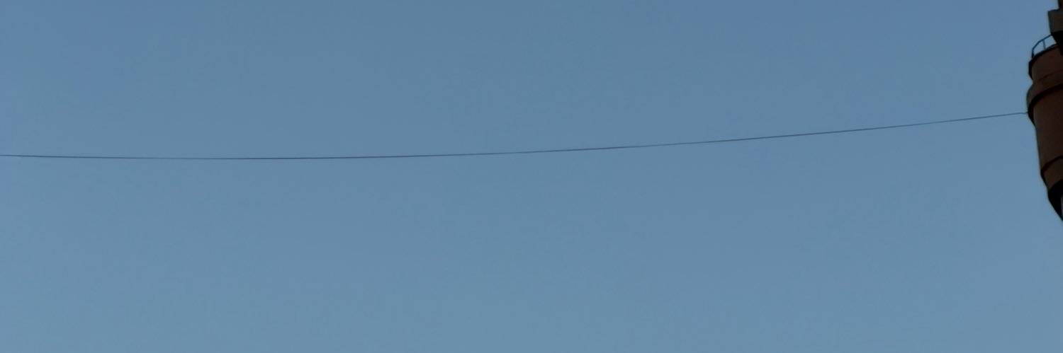 Bay_Leafffff's profile banner image