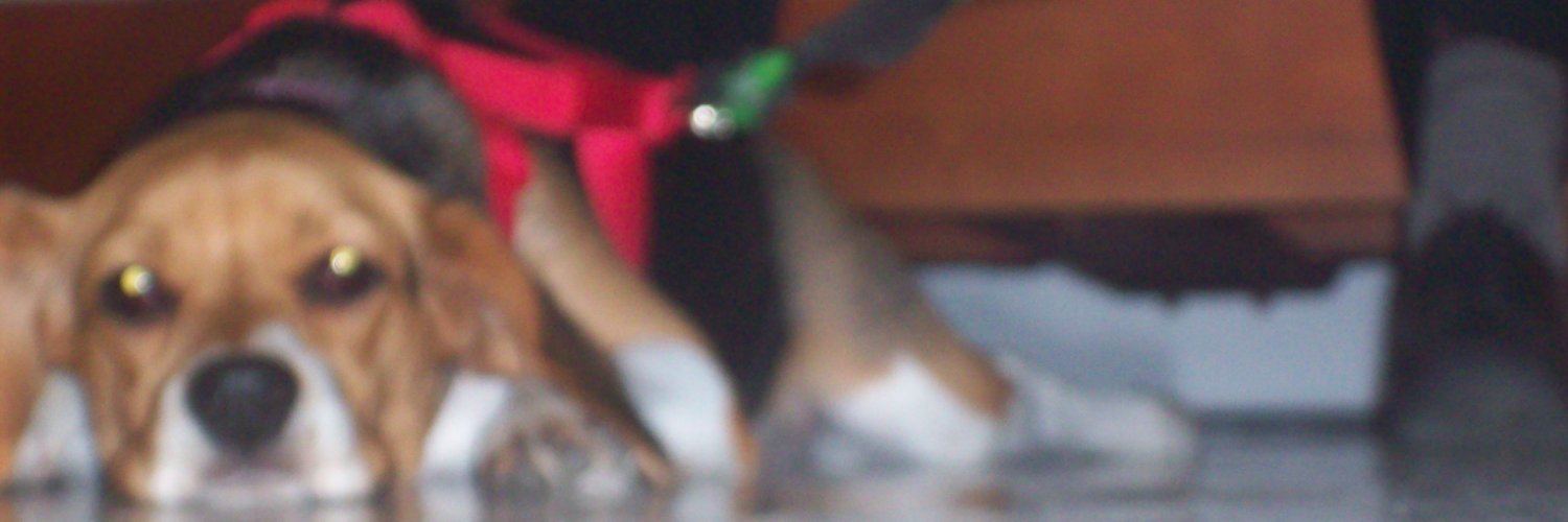 isma_fortuna_'s profile banner image
