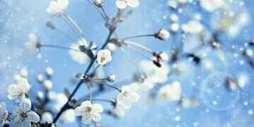 EmyAbdullah2012's profile banner image