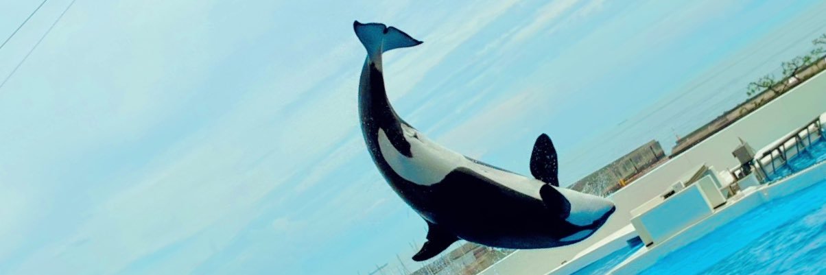 bassperHT_141's profile banner image