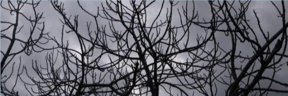 barisersinaydin's profile banner image