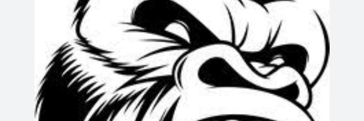 DegenAdun's profile banner image