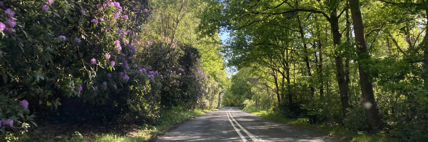 T at Mummy Barrow banner