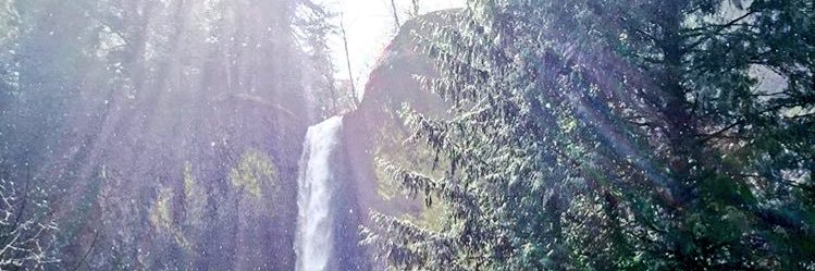 p__hocking's profile banner image