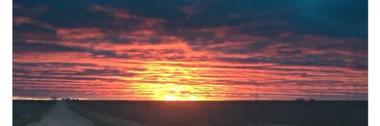 FrankDahlgren's profile banner image