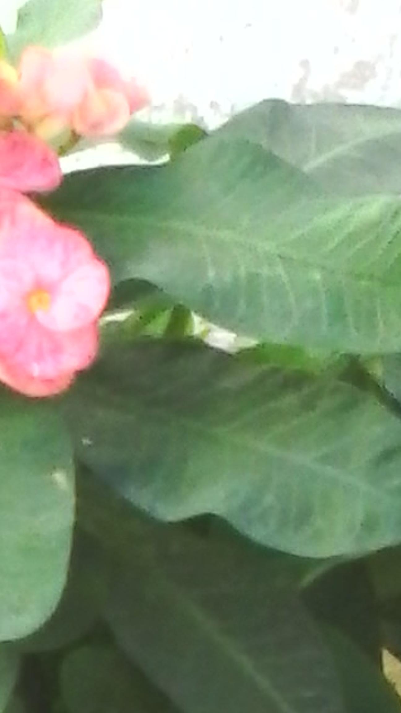 CaritoPertuz's profile banner image