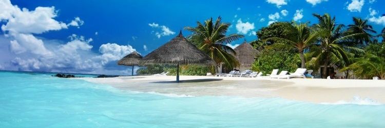 💕🌹Esther🌹💕 banner