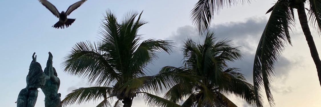 NazParedes7's profile banner image