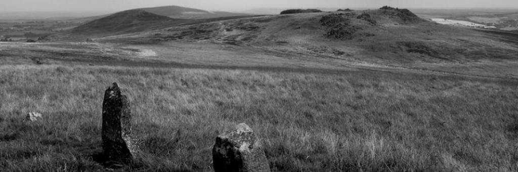 Gwilym Owen banner