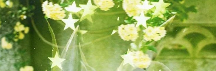 ナド 🍏⛑️🎏 banner