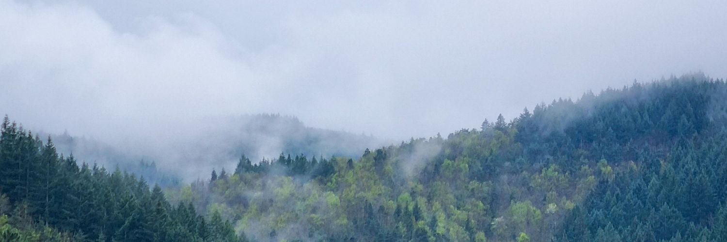 alexjalabert's profile banner image