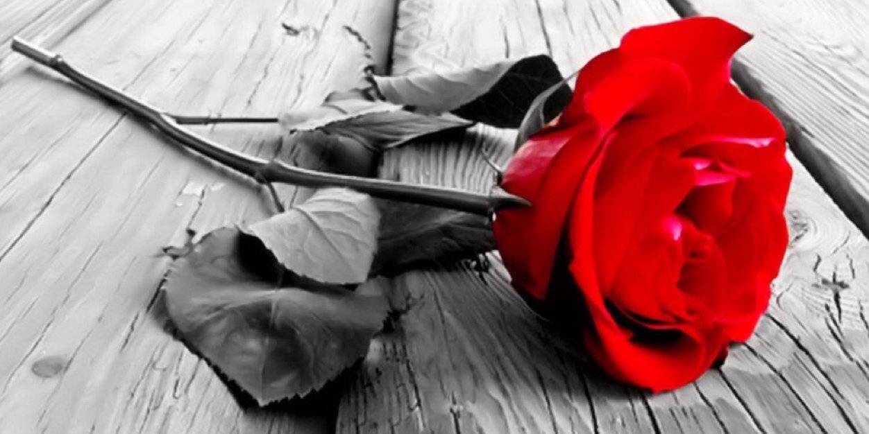 broadwaydre's profile banner image
