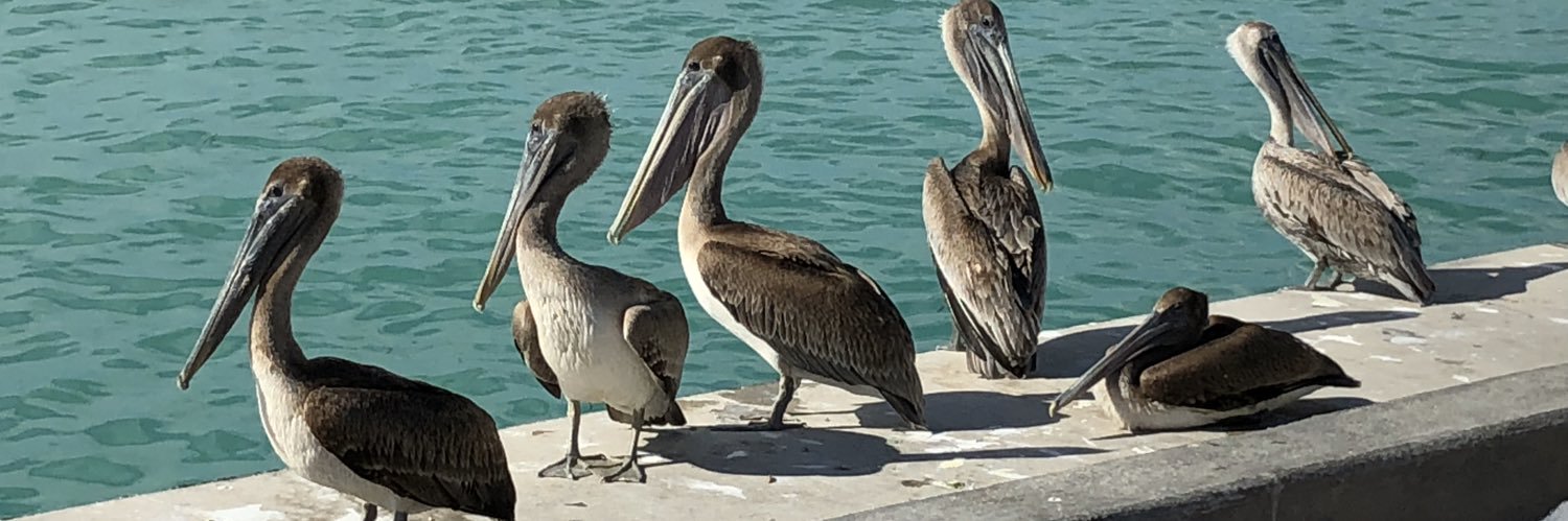 Mariusz Witczak banner