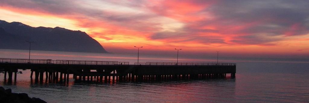 Dr. Utku Cihan banner