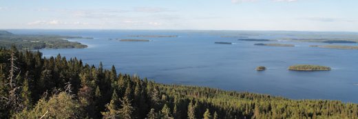 JukkaJanonen's profile banner image