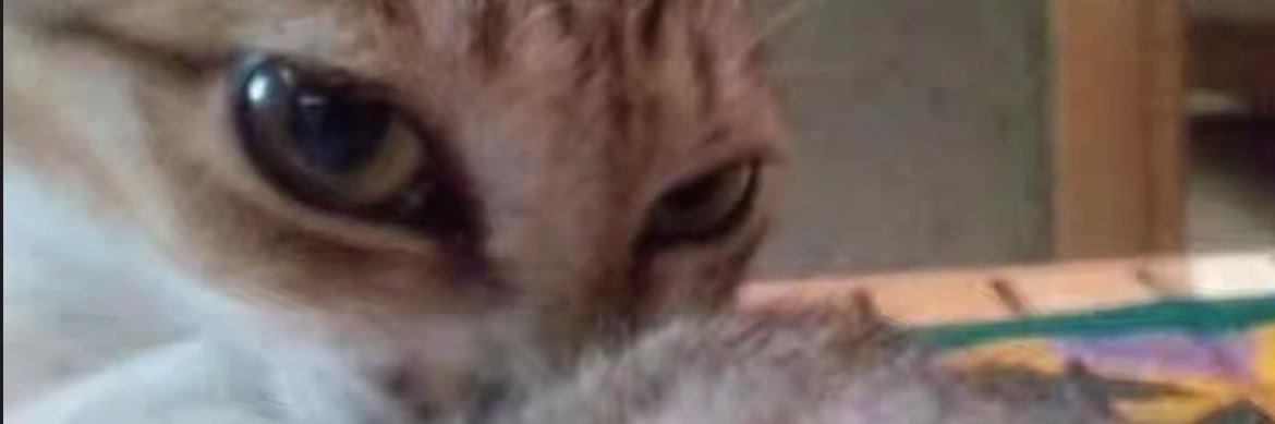 Rodrizzznat's profile banner image