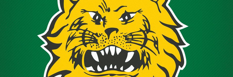 VilleSihvo's profile banner image