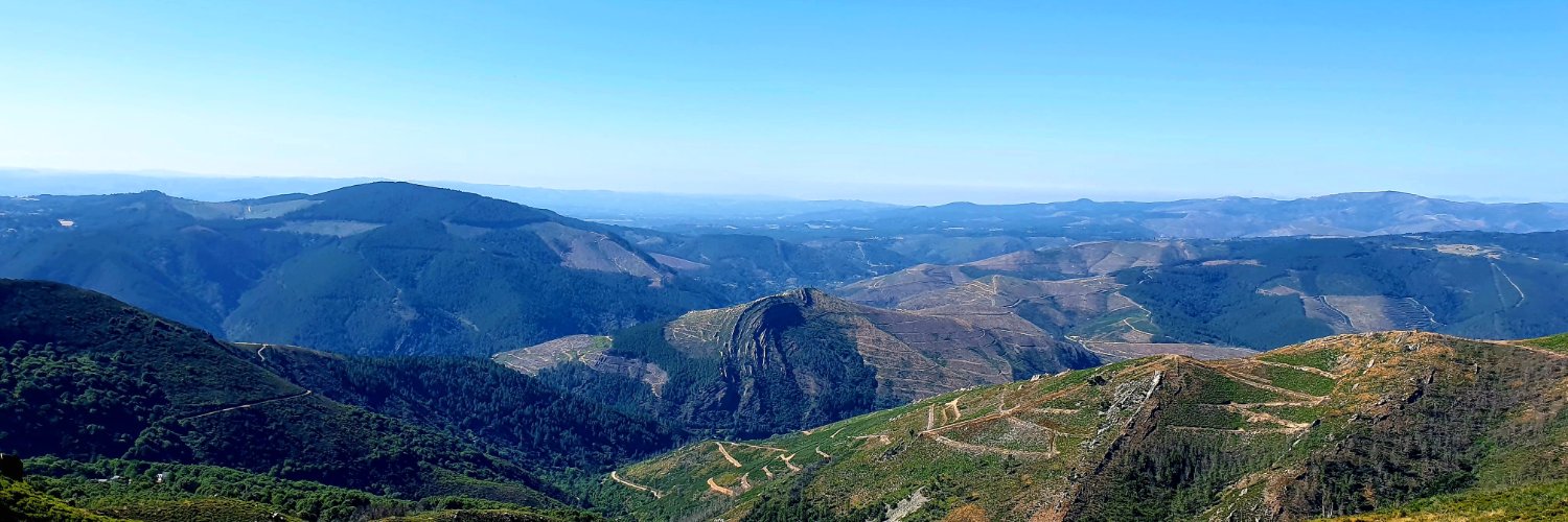 Félix García Lausín banner