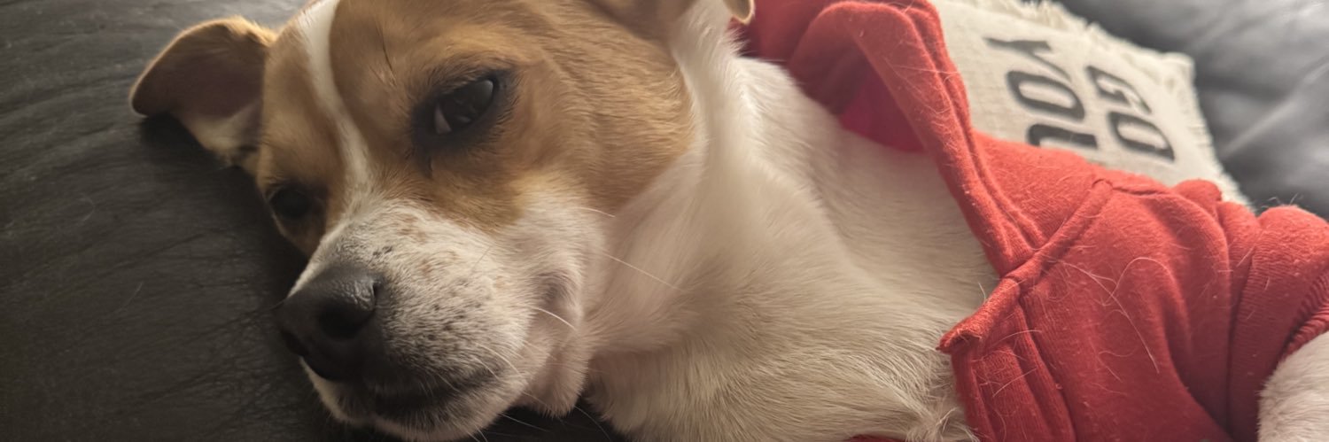 loganhouse__'s profile banner image