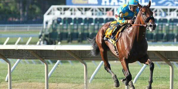 neirad82's profile banner image