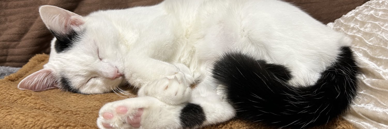ウルちゃんの飼い主🐱 banner