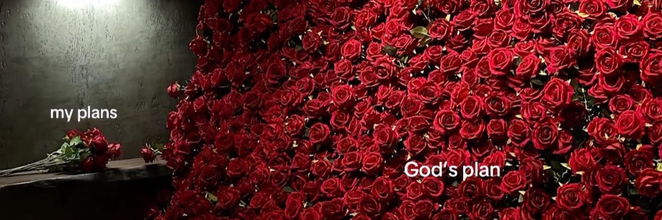 amandaniki89's profile banner image