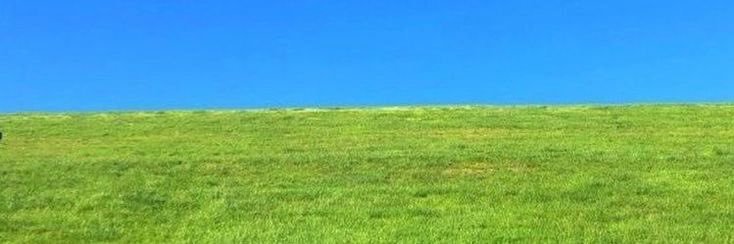 ng banner