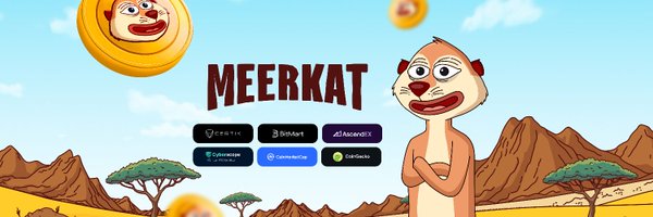Meerkatwtf Profile Banner