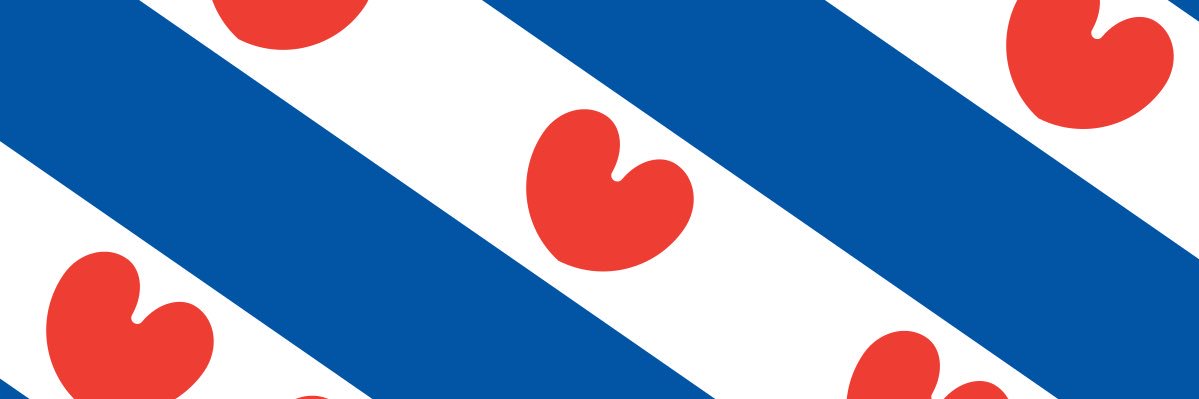 Geertje van der Meer banner