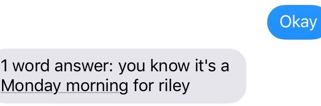 rileybailey_'s profile banner image